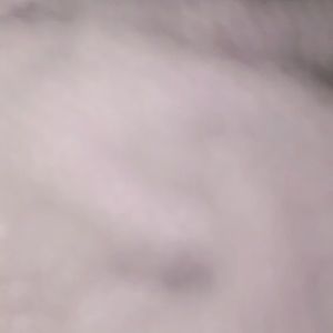 Meet your Posher, Ariel